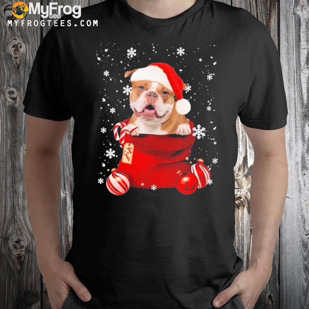 English Bulldog from santa Christmas t-shirt