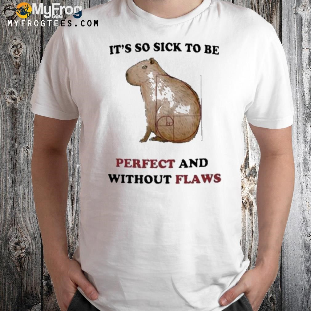 It's so sick to be perfect and without flaws shirt