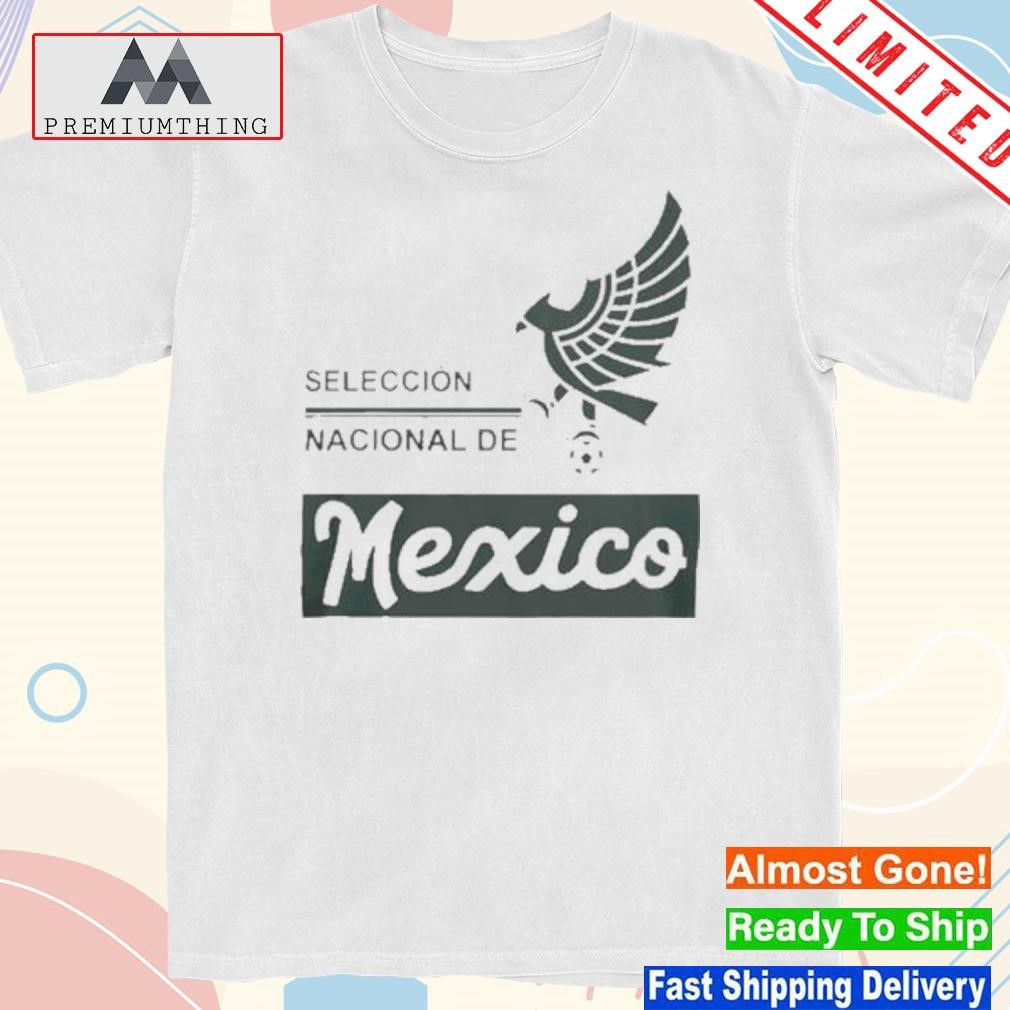 Design mexico National Team Federacion Pullover shirt
