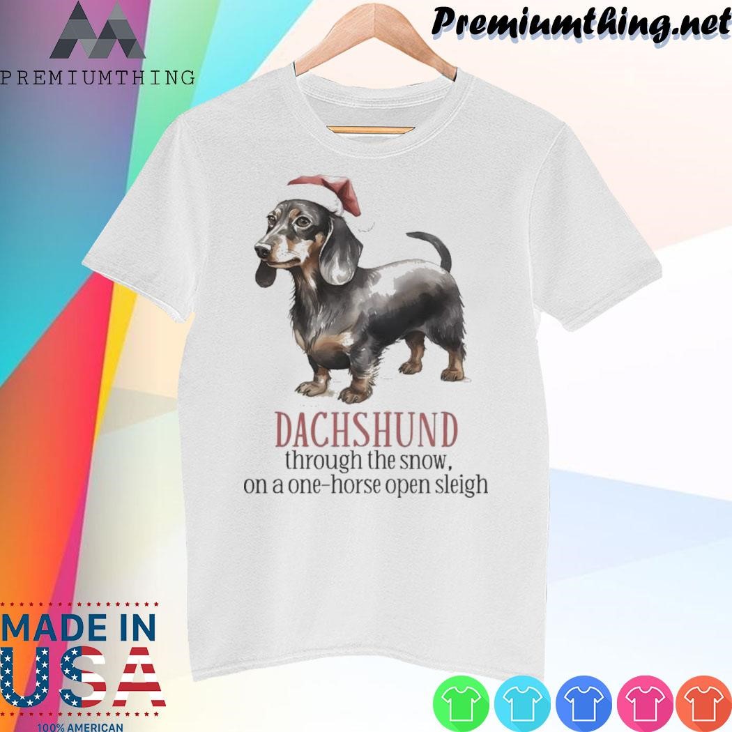 Design Dachshund Puppy Dog hat santa through the snow, on a one-horse open sleigh christmas shirt